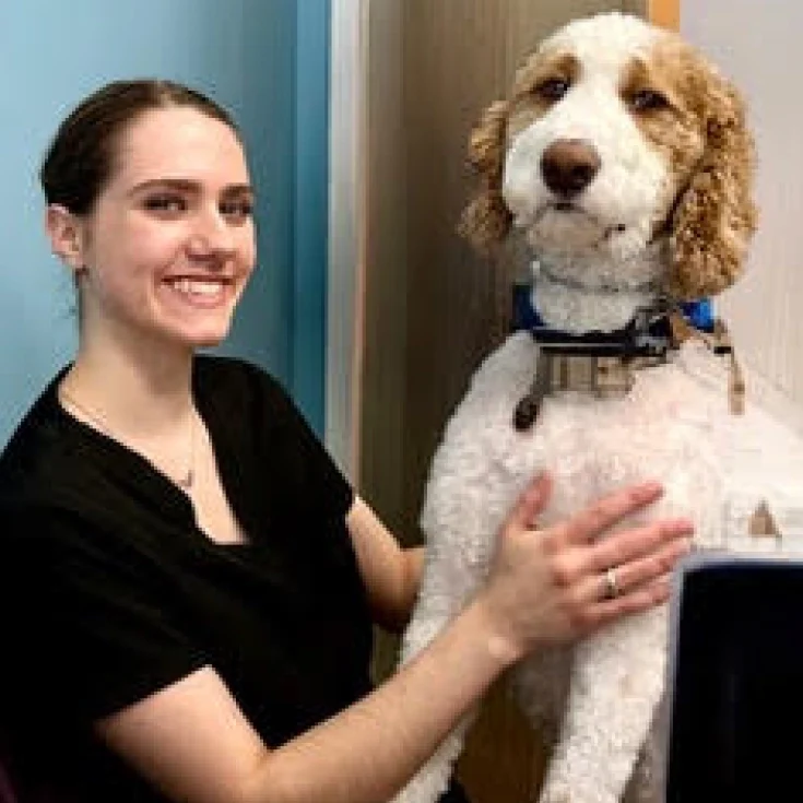 kara hometown childrens dentistry